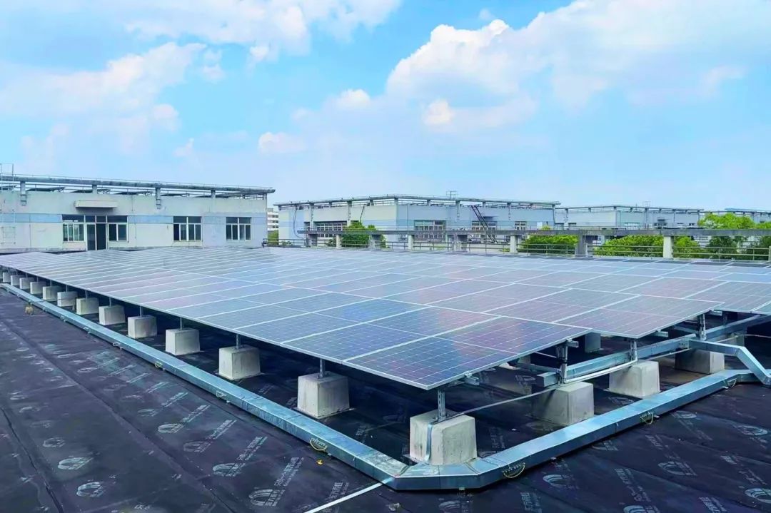 1723620090987773.jpg 640.jpg